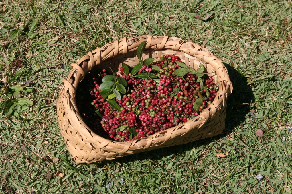 Pimenta Rosa Rose Pepper