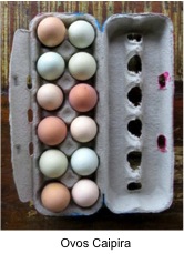 Ovos Caipira com titulo