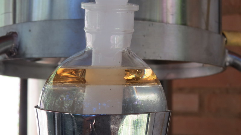 Distilando óleos essenciais Distilling essential oils