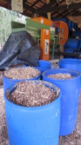 Maravalhas / Wood chips