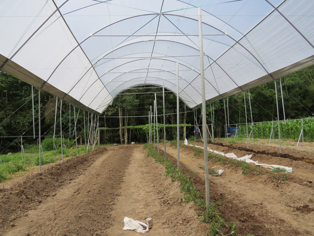 Estufa sendo implantada / Greenhouse being installed 