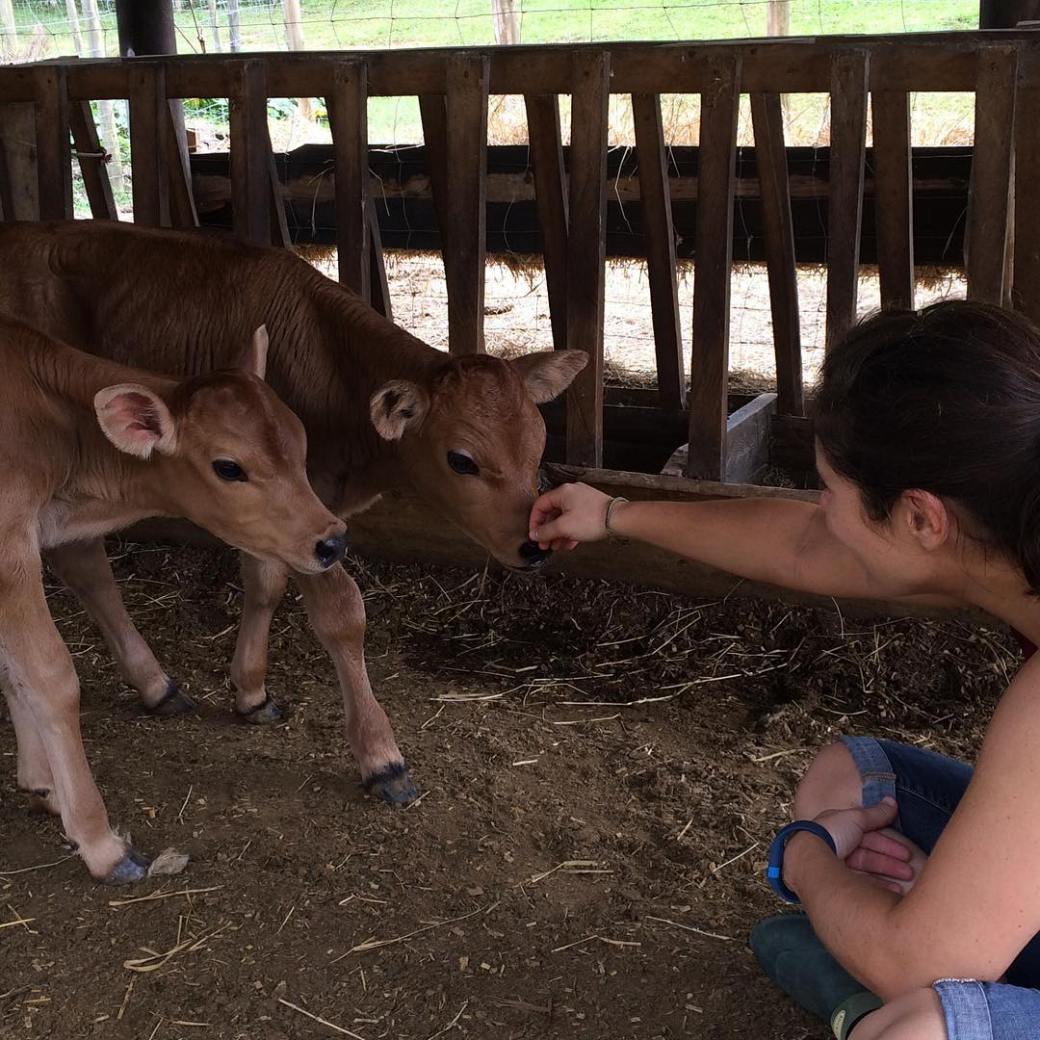 12552268_1725783667638110_651829804_n